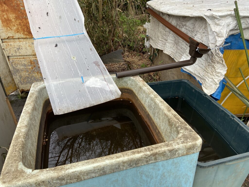 水がめ