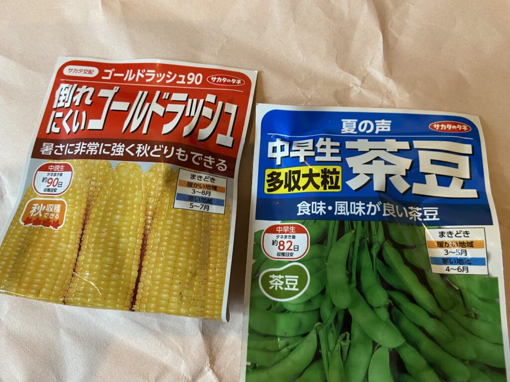ゴールデンラッシュと夏の声