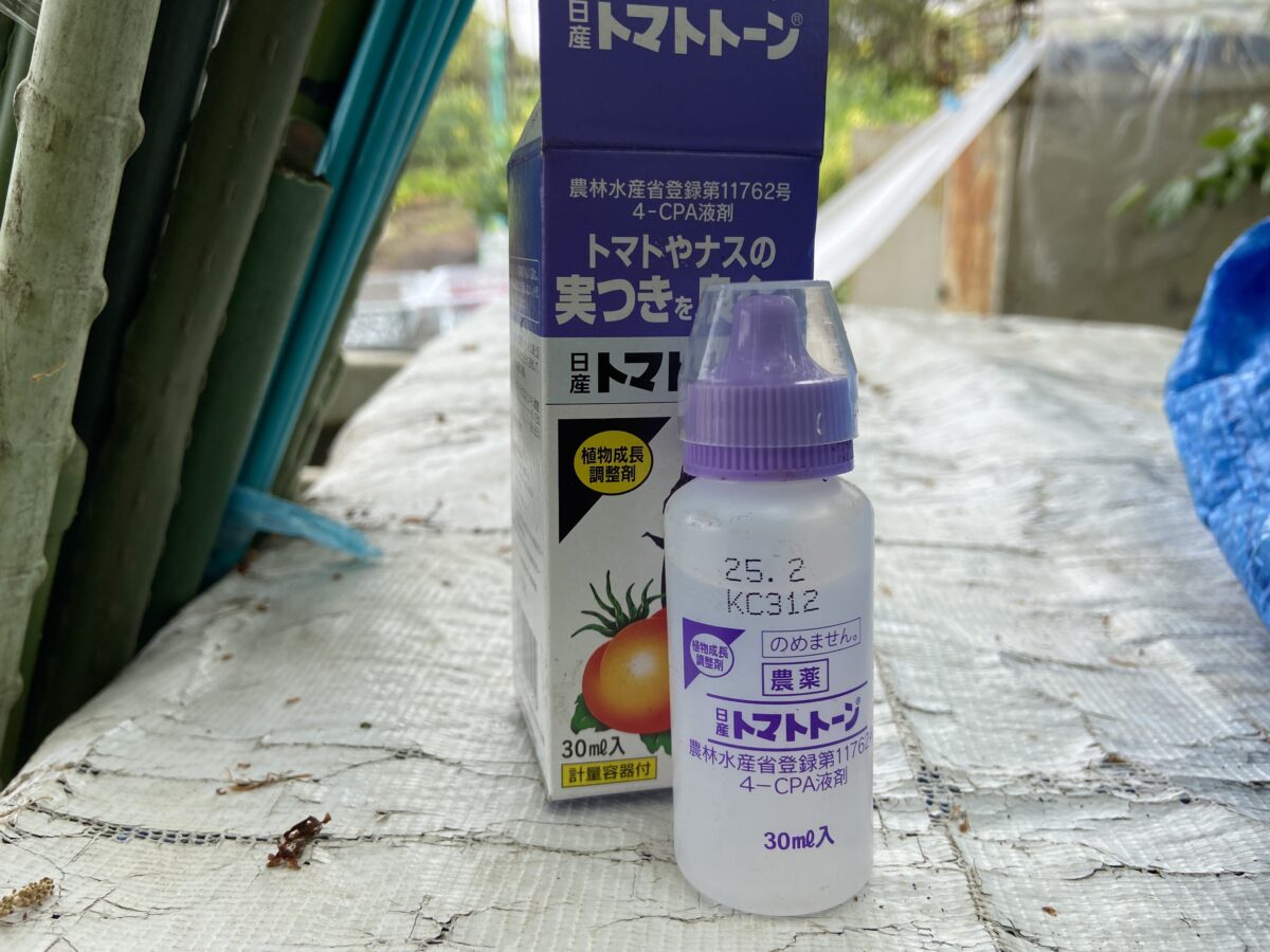 トマトの第一花房とトマトトーン