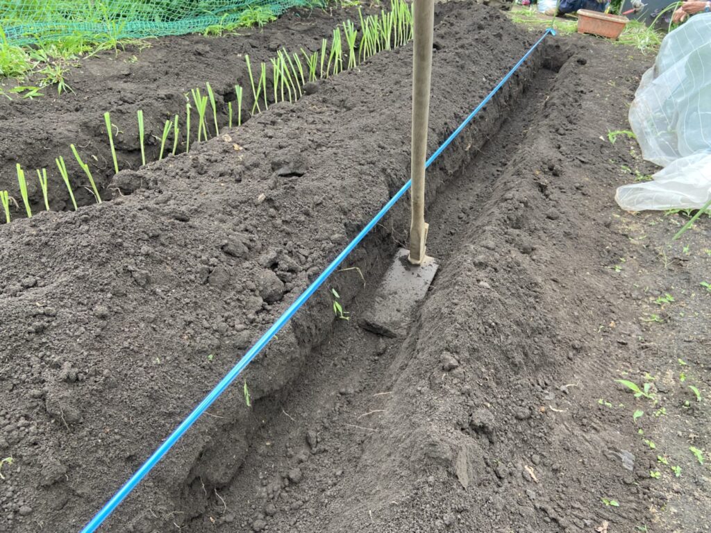 いい鍬で掘った溝