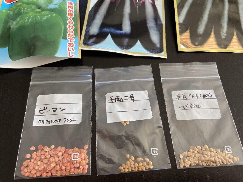 ナス科の種いろいろ