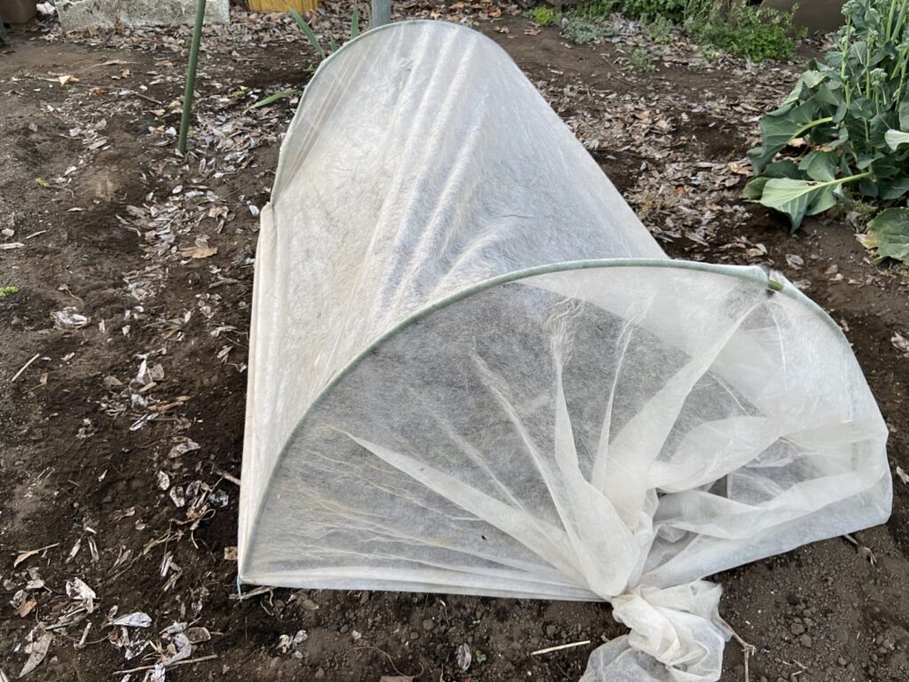育苗トンネル