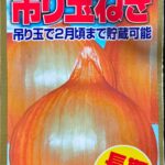 タマネギを播種