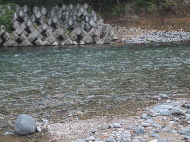 魚影 魚影