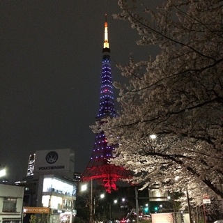 東京タワーと桜