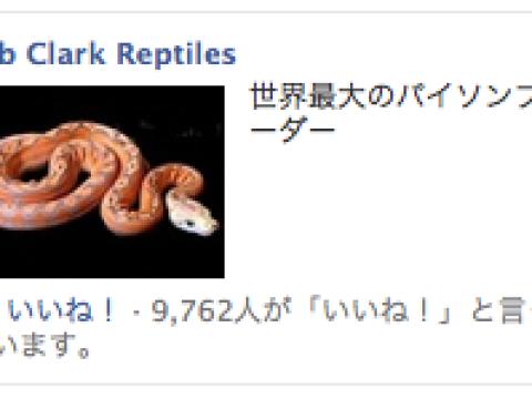 Python とかフライフィッシングとか [Facebook の広告]