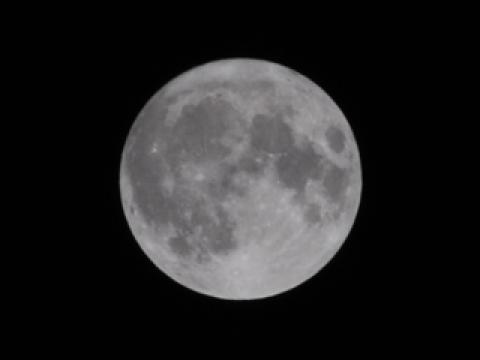 今月今夜のこの月を [Super Full Moon]