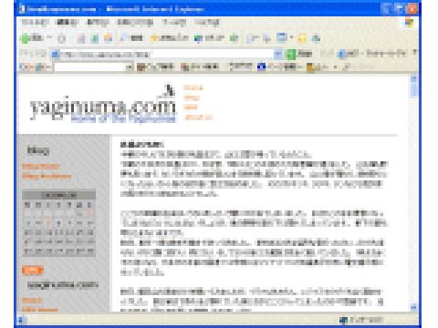 yaginuma.com